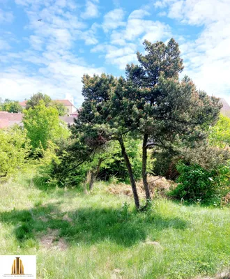 7-Zimmer-Haus kaufen in Horn – 1 098 m², € 199.900 – Bild 57 von 64