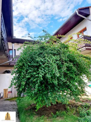 7-Zimmer-Haus kaufen in Horn – 1 098 m², € 199.900 – Bild 56 von 64