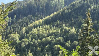 Grundstück kaufen in Murtal – 461 930 m² – Bild 3 von 10