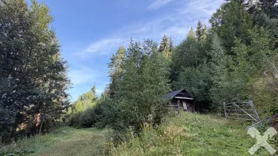 Grundstück kaufen in Murtal – 461 930 m² – Bild 4 von 10