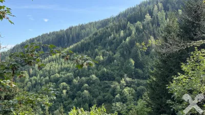 Grundstück kaufen in Murtal – 461 930 m² – Bild 1 von 10