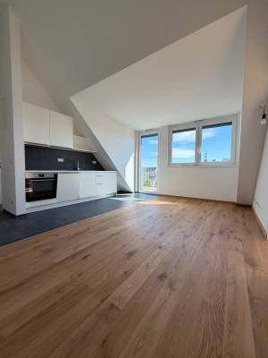 Erstbezug | Sonnige 3-Zi-DG-Wohnung mit Wien-Blick | Klima | Lift | provisionsfrei