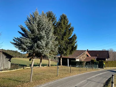 3-Zimmer-Haus kaufen in Neunkirchen – 85 m², € 229.000 – Bild 11 von 31