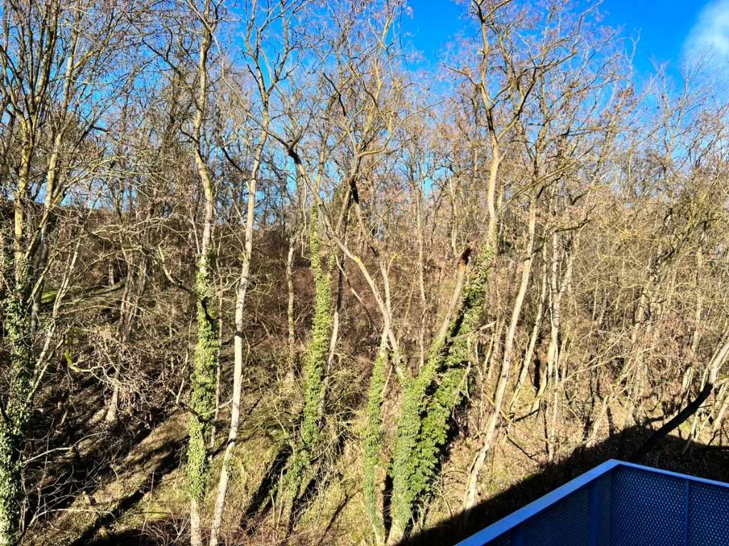 Wohnen am Kremserberg mit herrlichem Blick ins Grüne - Ansicht 3