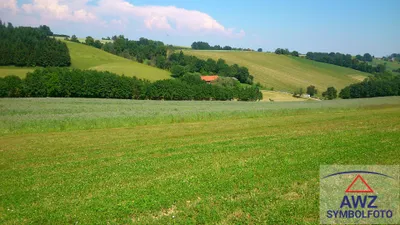 Grundstück kaufen in Ried im Innkreis – 10 000 m²
