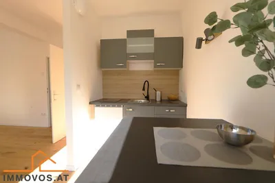 1-Zimmer-Wohnung mieten in Wien – 29,5 m², € 748 – Bild 4 von 10