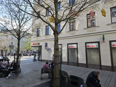 Gewerbeimmobilie mieten in Wels – 228 m² – Bild 32 von 34