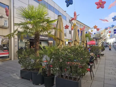 Gewerbeimmobilie mieten in Wels – 228 m² – Bild 31 von 34