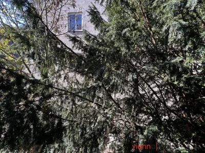 5-Zimmer-Wohnung mieten in Wien – 163,82 m², € 3.094 – Bild 38 von 71