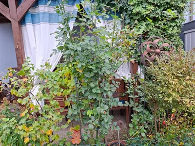 4-Zimmer-Wohnung kaufen in Horn – 103 m², € 275.000 – Bild 3 von 22