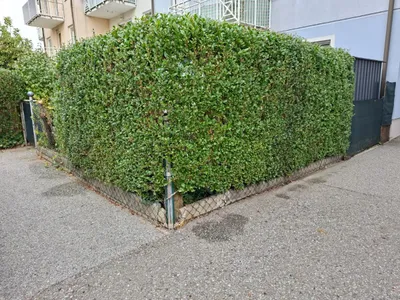 4-Zimmer-Wohnung kaufen in Horn – 103 m², € 275.000 – Bild 6 von 22