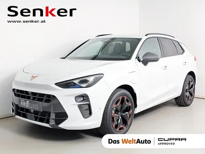 Cupra Terramar e-HYBRID 204 PS DSG