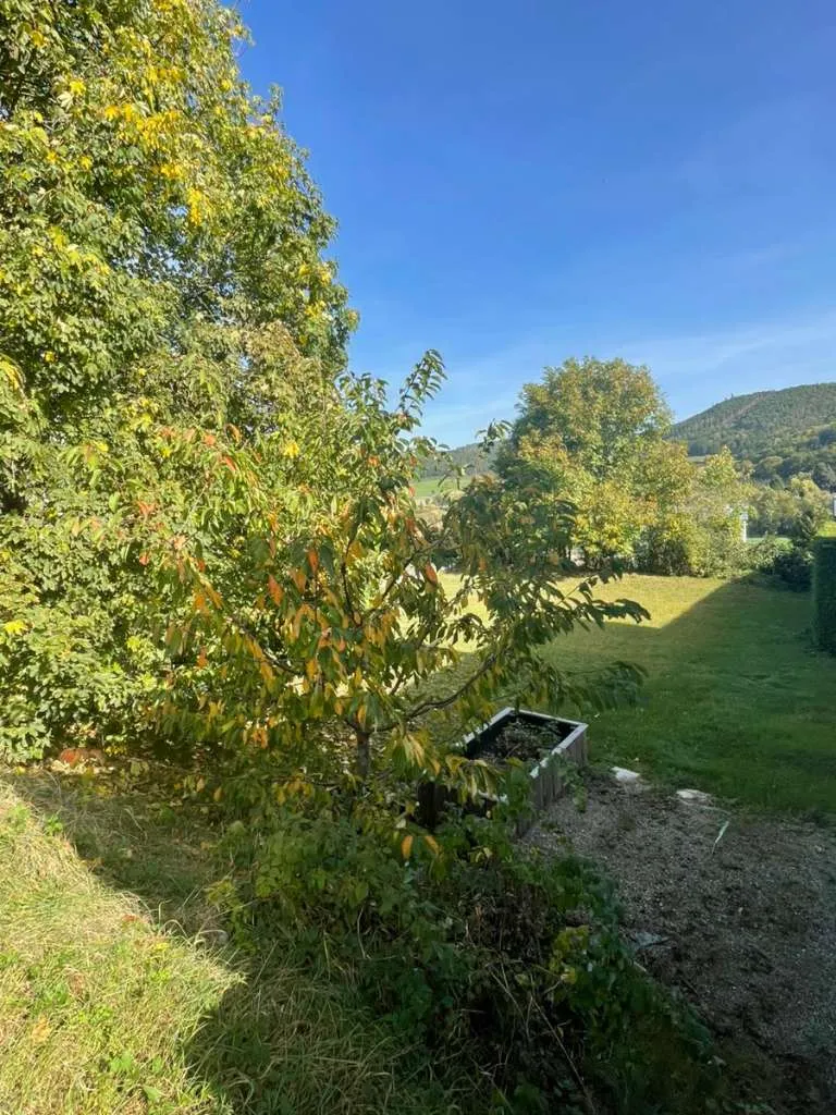 Baugrundstück Krems Land - Ansicht 2