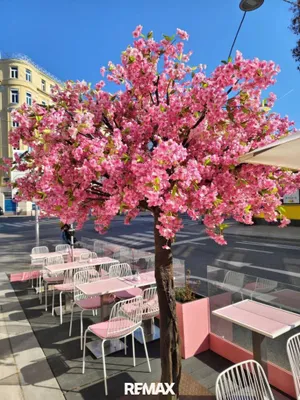 Gewerbeimmobilie kaufen in Wien – 38 m², € 169.900 – Bild 7 von 8