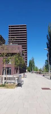 Wohnung zur Miete in 8020 Graz