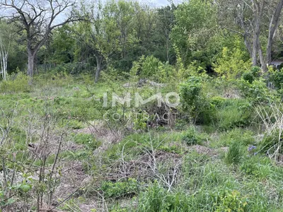 Grundstück kaufen in Mistelbach – 5 273 m², € 265.000 – Bild 7 von 8