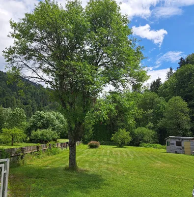 4-Zimmer-Haus kaufen in Bruck-Mürzzuschlag – 132 m², € 120.000 – Bild 10 von 49