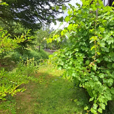 4-Zimmer-Haus kaufen in Bruck-Mürzzuschlag – 132 m², € 120.000 – Bild 13 von 49