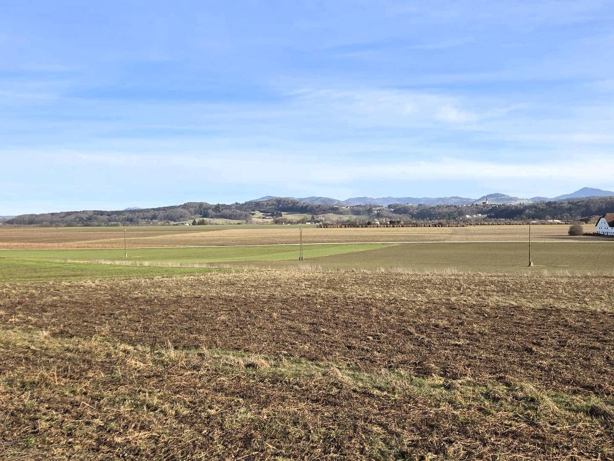1.531 m² großes Aussichts-Hang-Baugrundstück aufgeschlossen, OHNE Bauzwang und OHNE Bebauungsplan! - Ansicht 2