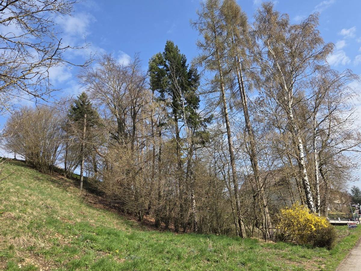 1.531 m² großes Aussichts-Hang-Baugrundstück aufgeschlossen, OHNE Bauzwang und OHNE Bebauungsplan! - Ansicht 3