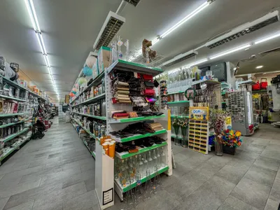 Gewerbeimmobilie mieten in Wien – 625 m², € 6.773 – Bild 3 von 11
