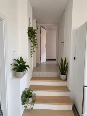 2-Zimmer-Wohnung mieten in Wien – 70 m², € 1.100 – Bild 2 von 7