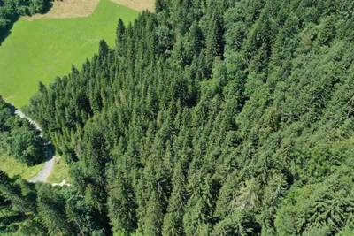 Grundstück kaufen in Sankt Veit an der Glan – 151 000 m², € 350.000 – Bild 4 von 4