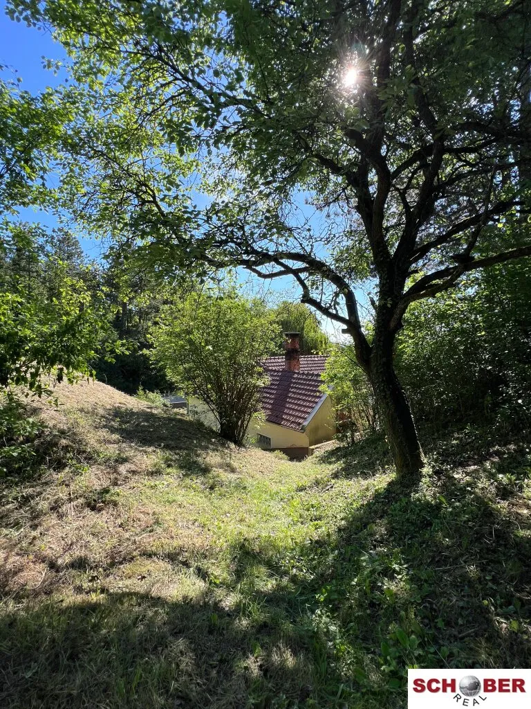 Idyllische Waldrandruhelage - Ansicht 2