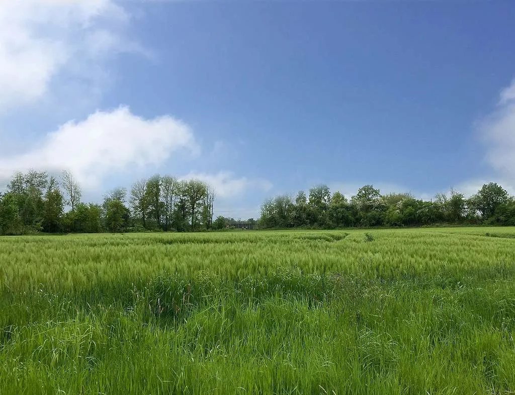TOP-ANGEBOT 1.150m² großes sonniges Baugrundstück in Taufkirchen an der Pram - Wimm PREISHIT - Ansicht 2