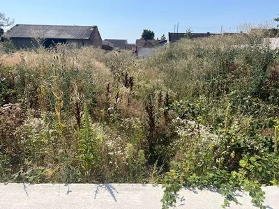 Grundstück kaufen in Neunkirchen – 693 m², € 132.000 – Bild 5 von 10
