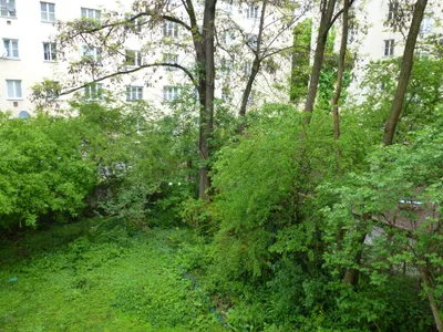 2-Zimmer-Wohnung mieten in Wien – 70 m², € 1.100 – Bild 9 von 13