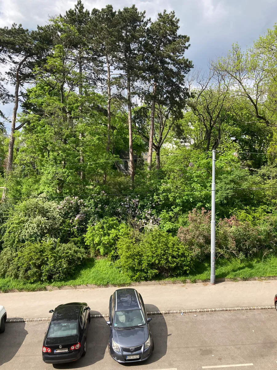 Perfekte, ruhige, zentrale Singlewohnung mit Parkblick - Ansicht 2