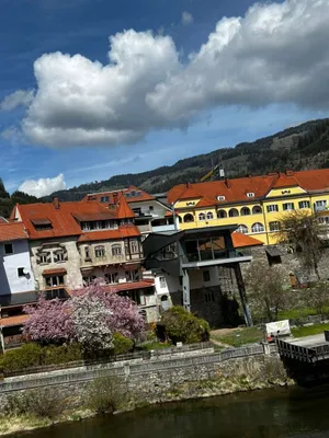 Gewerbeimmobilie mieten in Murau – 80 m², € 2.000