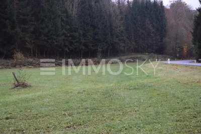Immobilie kaufen in Urfahr-Umgebung – 3 372 m², € 140.000 – Bild 2 von 5