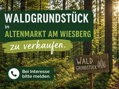 Grundstück kaufen in Liezen – 143 770 m², € 380.000
