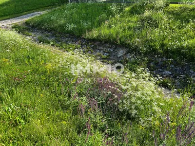 Immobilie kaufen in Krems Land – 1 642 m², € 99.000 – Bild 10 von 11