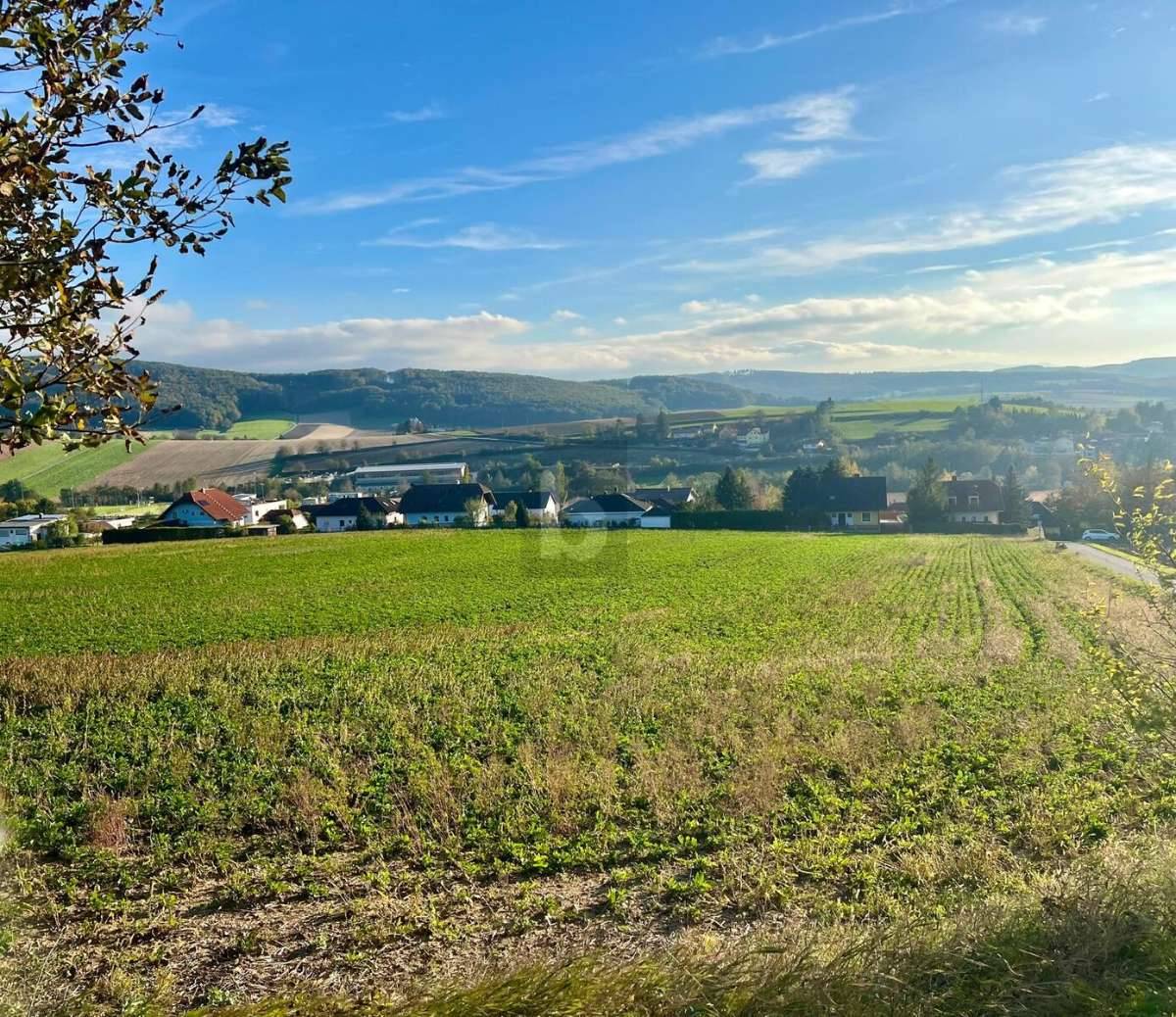 GROSSZÜGIGES GRUNDSTÜCK - Widok 3