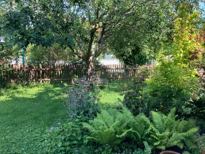5-Zimmer-Haus kaufen in Neusiedl am See – 158 m², € 695.000 – Bild 5 von 38