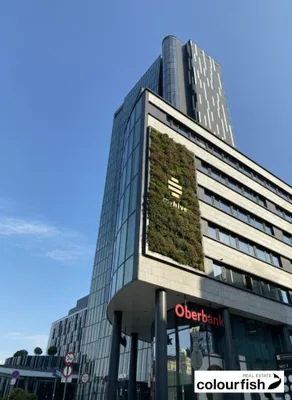 Gewerbeimmobilie mieten in Wien – 200 m², € 4.709 – Bild 9 von 10