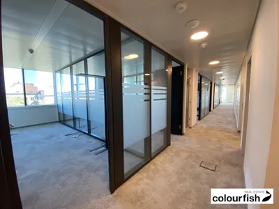 Gewerbeimmobilie mieten in Wien – 200 m², € 4.709 – Bild 3 von 10
