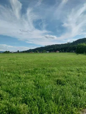 Grundstück kaufen in Braunau am Inn – 777 m², € 170.940 – Bild 6 von 8