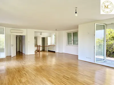8-Zimmer-Immobilie kaufen in Wien – 383 m², € 2.980.000 – Bild 5 von 19