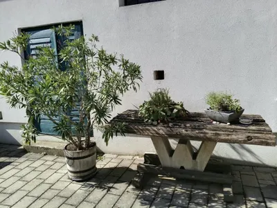 2-Zimmer-Wohnung mieten in Neusiedl am See – 55 m², € 950 – Bild 11 von 14