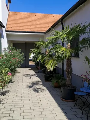 2-Zimmer-Wohnung mieten in Neusiedl am See – 55 m², € 950 – Bild 13 von 14