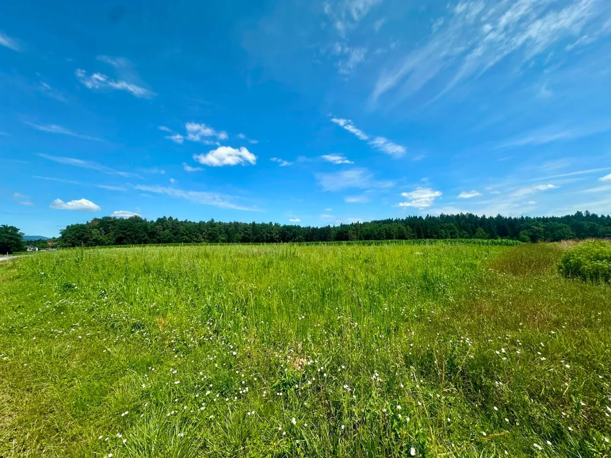 Baugründe in der Weststeiermark- Top Lage, moderne Bauweise möglich, perfekt als Anlage, 16 Minuten nach Graz! - Widok 3