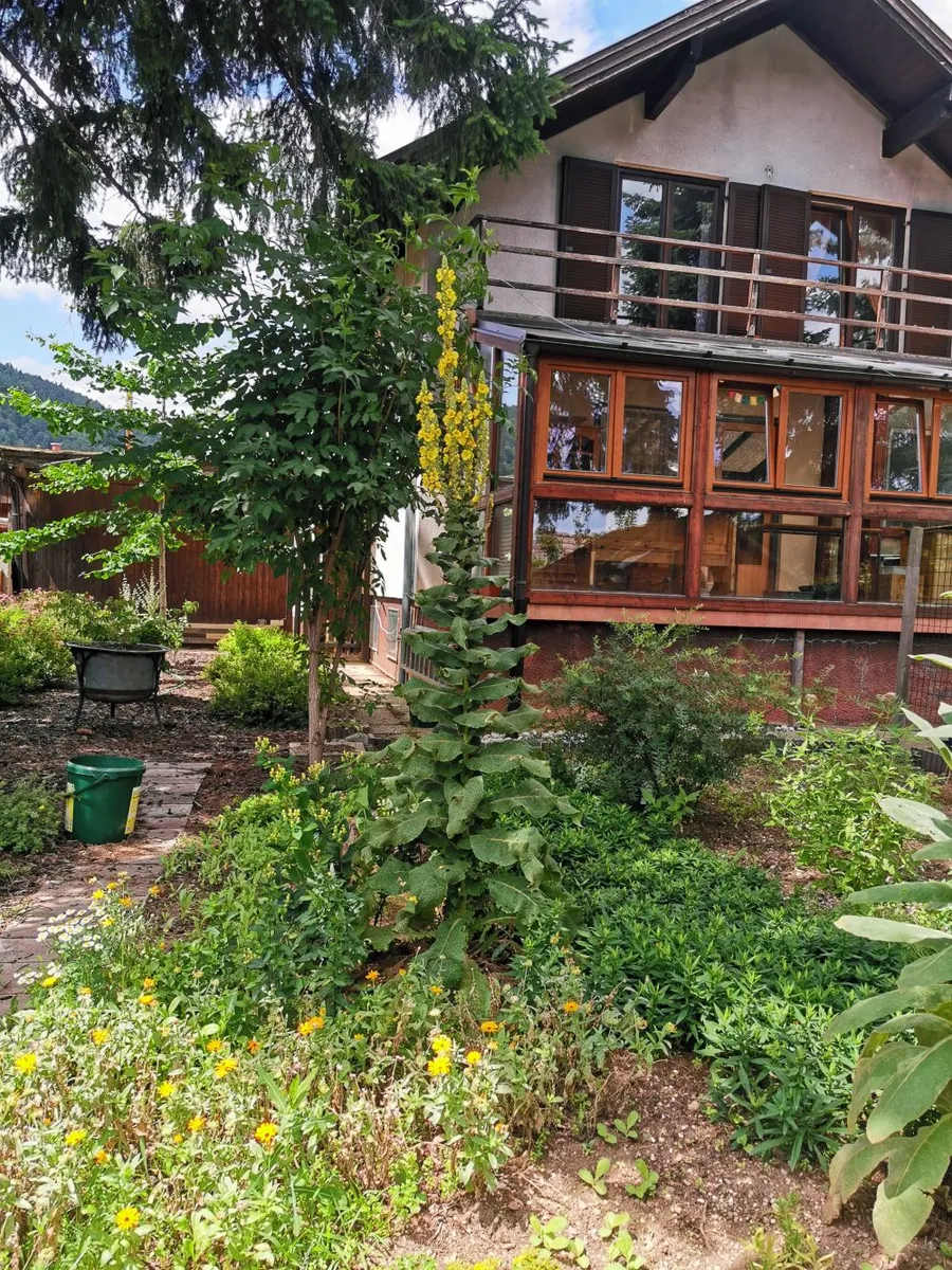 Haus – Ternitz - Ansicht 2