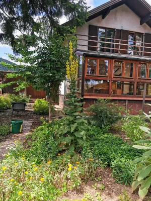6-Zimmer-Haus mieten in Neunkirchen – 160 m², € 1.400 – Bild 2 von 36