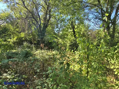 Grundstück kaufen in Eisenstadt – 851 m², € 447.000