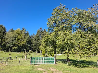 3-Zimmer-Haus mieten in Voitsberg – 60 m², € 750 – Bild 17 von 41