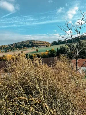 Grundstück kaufen in Kirchdorf an der Krems – 804 m², € 144.000 – Bild 14 von 17